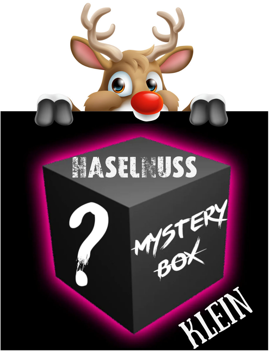Geschenkebox zu Weihnachten KLEIN