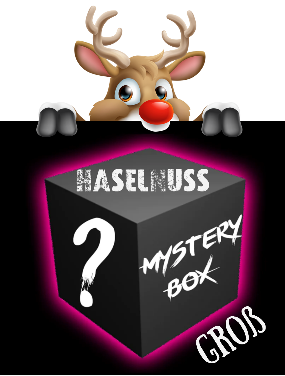 Geschenkebox zu Weihnachten GROß